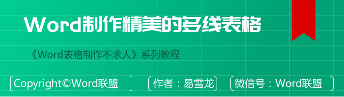 Word制作精美的多线表格（带图片产品表格）