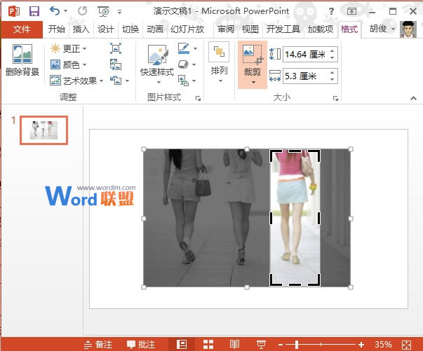 PowerPoint2013图片处理技巧：利用颜色对比来突出显示